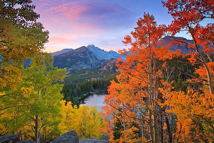 Longs Peak is framed by beautiful aspens above Bear Lake in Rocky Mountain National Park