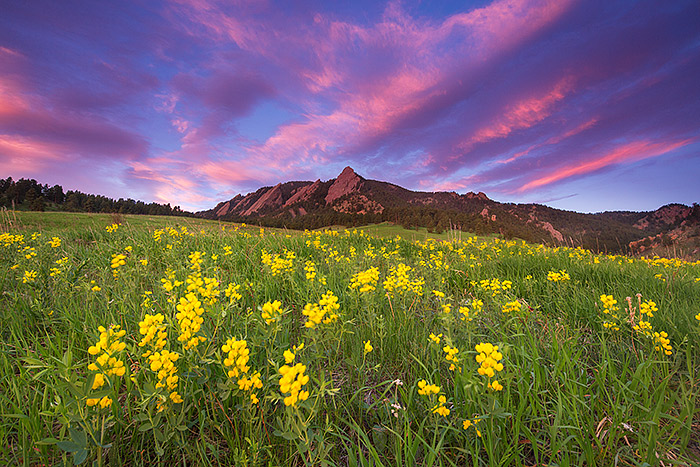 What's better than this after a long winter?. It's be a long wait, but worth it for images like these. The sky errupts with color over Chautauqua Park and The Flatirons of Boulder on a beautiful spring morning. Golden Banner fills the meadow below the iconic rock formation. Technical Details: Canon EOS 5D Mark III, 17mm TS-E F4 L