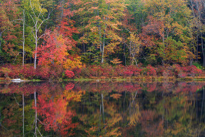 Lake Nawahunta in Harriman State Park is a favorite spot of mine. Seeing vibrant reds such as these is a rare treat and something I don't see often out west. Technical Details: Canon EOS 5D Mark III, 24-105mm F4 IS