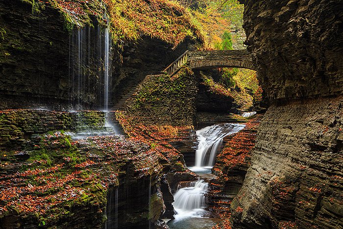 Few places are more dramatic in fall then Watkins Glen. The numerous waterfalls, fall colors,and rocks covered with colorful autumn leaves make it feel as if there is a new image to be created every few feet. Technical Details: Canon EOS 5D Mark III, 24-105mm F4 IS 