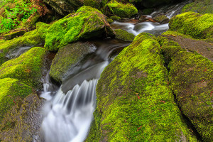 Tioratti Creek in Harriman State Park rumbles through the moss covered boulders plush with green from recent rains. Technical Details: Canon EOS 5D Mark III, 24-70mm F4 IS L 