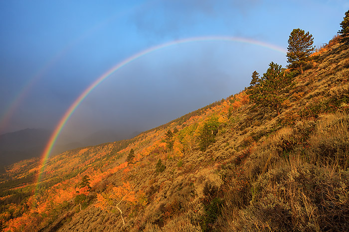 I photographed this beautiful rainbow over the Bierstadt Moraine yesterday morning. This view gives one a good idea what the current fall color conditions are like in Rocky Mountain National Park. While the higher elevations are at peak or just past peak, lower elevations should be good for the next week or so. Technical Details: Canon EOS 1Ds Mark III, 16-35mm F4 IS L 