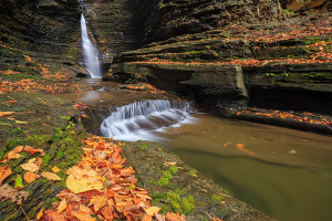 Watkins Glen located in the Southern Tier of New York State is also an amazing location to photograph fall color. Even when the leaves have fallen from the tree's they make a great subject lining the bank of the stream. Technical Details: Canon EOS 5D Mark III, 24mm TS-E F3.5 L II