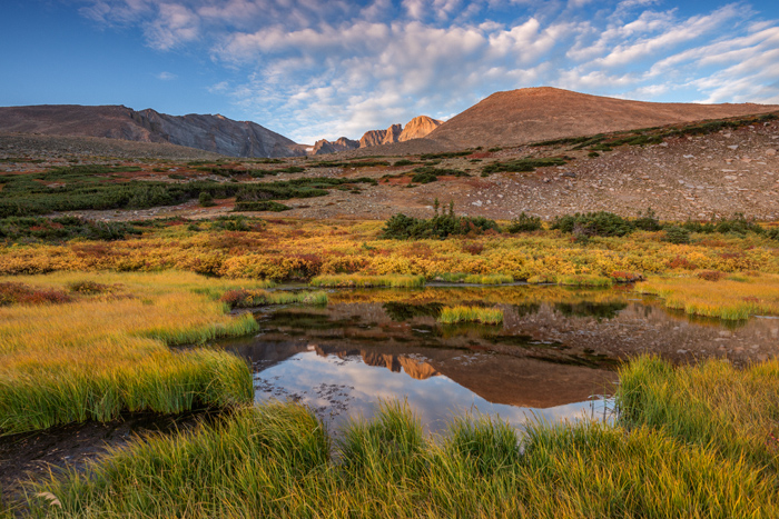 Landscape photographers will flock to Rocky Mountain National Park this time of year to capture the autumn in all her glory. Most photographers will be looking to photograph golden hillsides of aspens trees. Dont overlook the beautiful autumn color currenlty unfolding at or near timberline in Rocky. I photographed these beautiful fall colors just below Longs Peak on the alpine tundra yesterday. Our mild nights have allowed for the colors to really pop in the higher elevations of the park. Technical Details: Nikon D810, Nikkor 16-35mm F4 ED VR