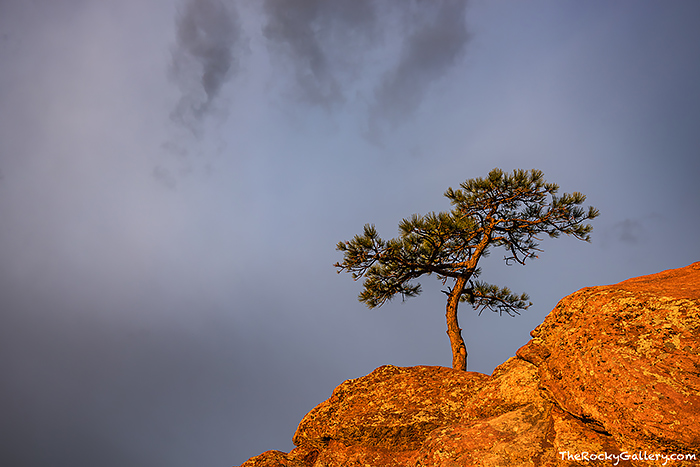 If you follow my work frequently than you know Flagstaff Mountain just outside of Boulder is a favorite location of mine to photograph. In about 25 minutes from my front door I can be out in the field enjoying landscapes like this one. Visiting these nearby locations over and over again allows my to react and anticipate where the best images may be based on the time of year or weather. Technical Details: Nikon D810, Nikkor 16-35mm F4 ED AF VR