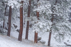 Some of the best winter landscapes of the season often occur during the late spring months in Colorado as this image from Flagstaff Mountain in Boulder illustrates. Technical Details: Nikon D810, Nikkor 70-200mm F4 AF ED VR