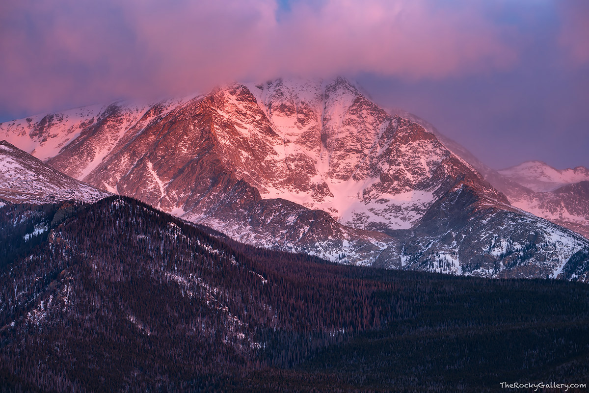 The last sunrise of 2016 was a colorful one over the Mummy Range of Rocky Mountain National Park. While most of the skies over Rocky this windy morning were cloudless, a nice set of clouds clung to the top of Ypsilon Mountain adding some nice warmth to the cool morning. I'm looking forward to new pursuits and images in 2017 after a great 2016. Technical Details: Nikon D810,Sigma 150-600mm f/5-6.3 DG OS HSM C