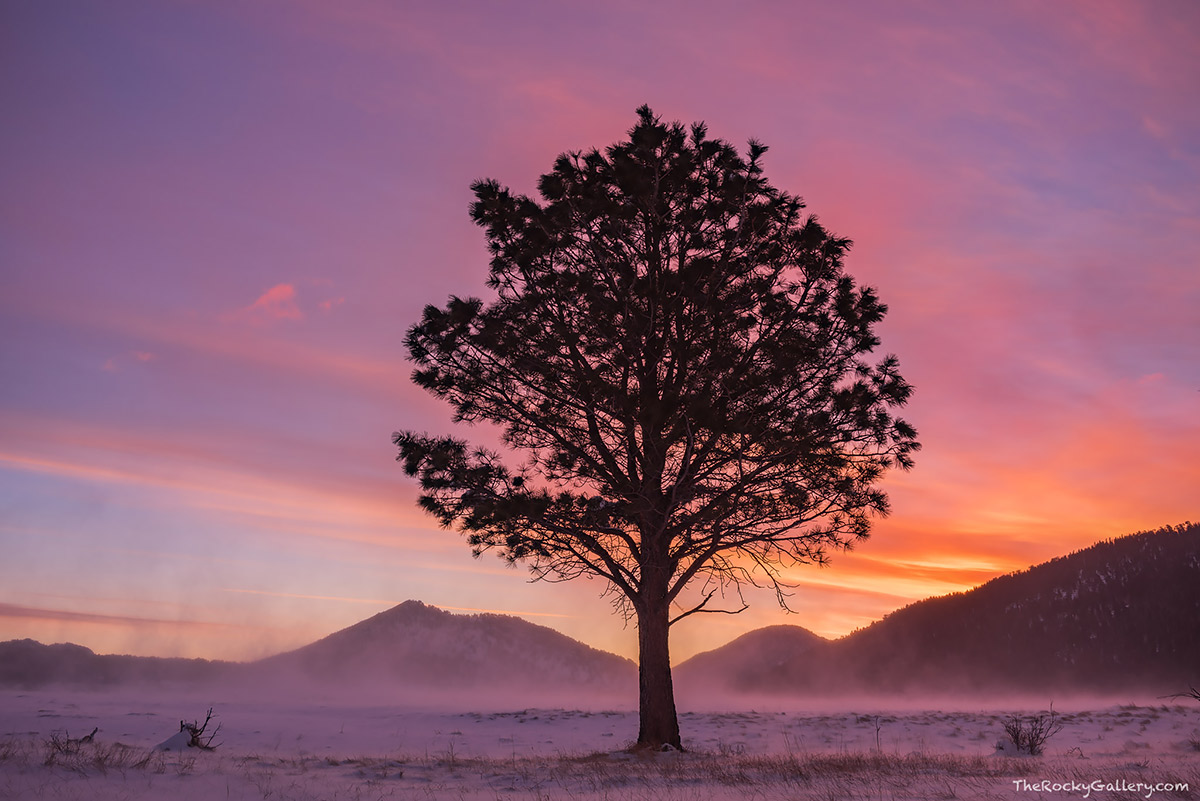 Saturday In The Park | Thomas Mangan Photography Blog - The Rocky