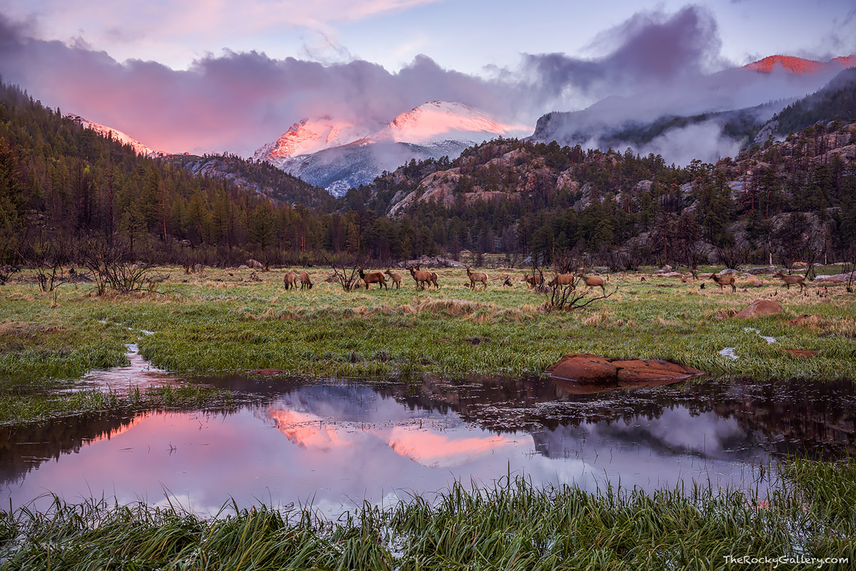 Stars Aligned | Thomas Mangan Photography Blog - The Rocky Gallery Blog
