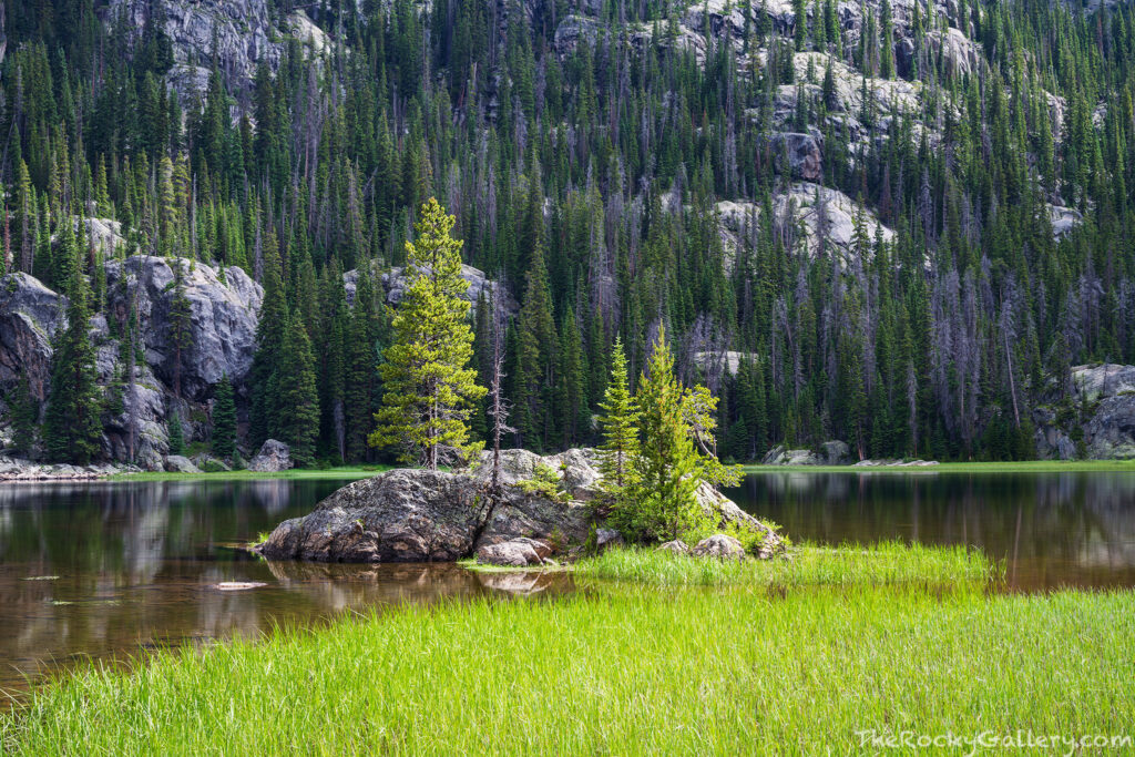 After making the tough trip up the Devils Staircase with my heavy pack, I stopped to take a break at Lone Pine Lake and photograph the iconic little granite island that once held a lone pine according to legend. It's now 4 or 5 pines but the verdant green around the lake and the sun spotlighting the island was just about perfect. Technical Details: Nikon Z7 II, Nikkor 24-120mm F4 lens 