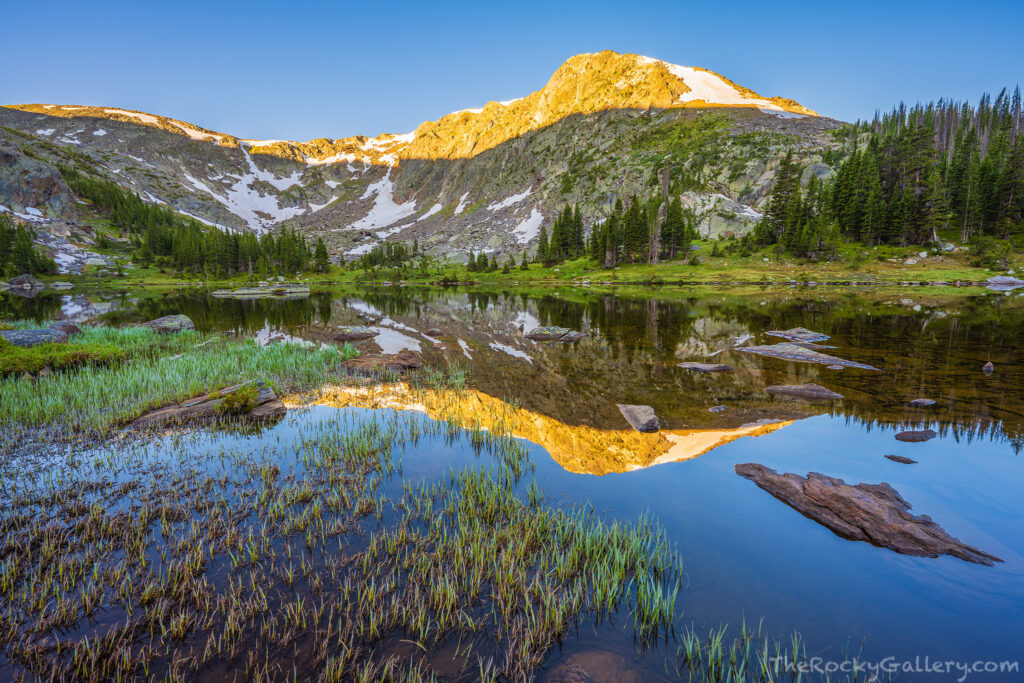 I spent a clear but calm and beautiful morning hiking up to Timber Lake on the west side of Rocky Mountain National Park last week. Summer in RMNP is in all its glory right now. The glory that is summer in the higher elevations of Rocky wont last long so its always good to appreciate and reflect on these journeys to visit these locations that one may not get to see at whim. Technical Details: Nikon Z7 II, Nikkor 14-24mm F2.8 S lens
