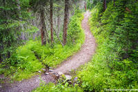 Round The Bend
