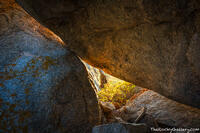 Erratic Autumn