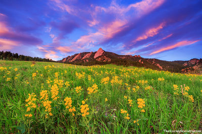 Boulder County Open Space And Mountain Parks