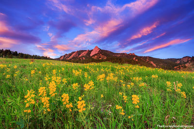 Boulder County Open Space And Mountain Parks