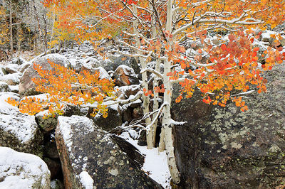 Autumn Palettes and The Colors Of Fall