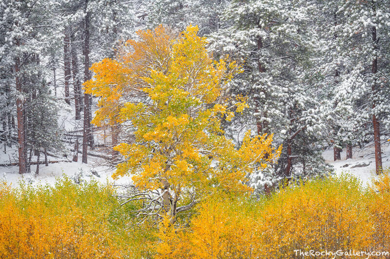 Seasons Change