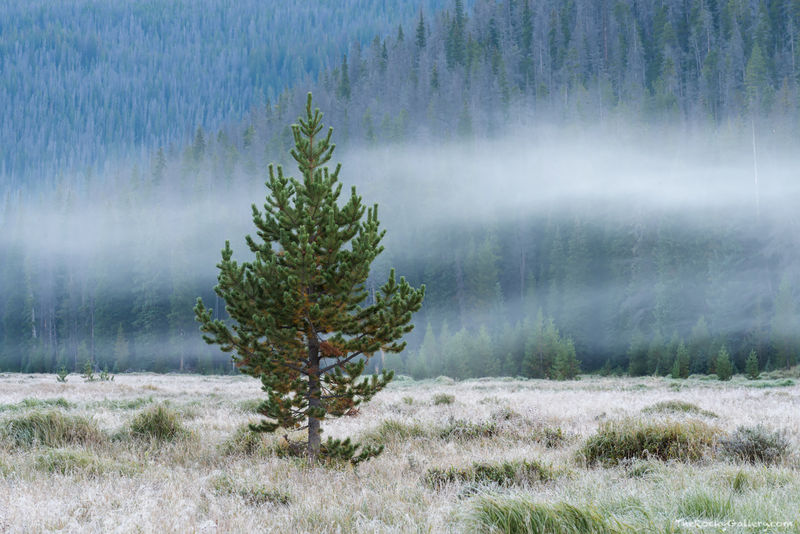 Big Fog 