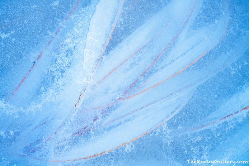 Frozen