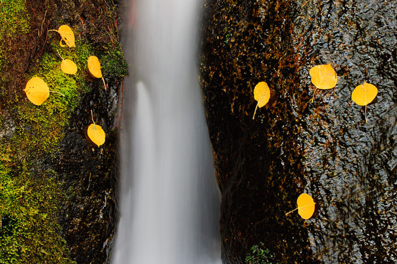 Boulder Brook Autumn Abstract 