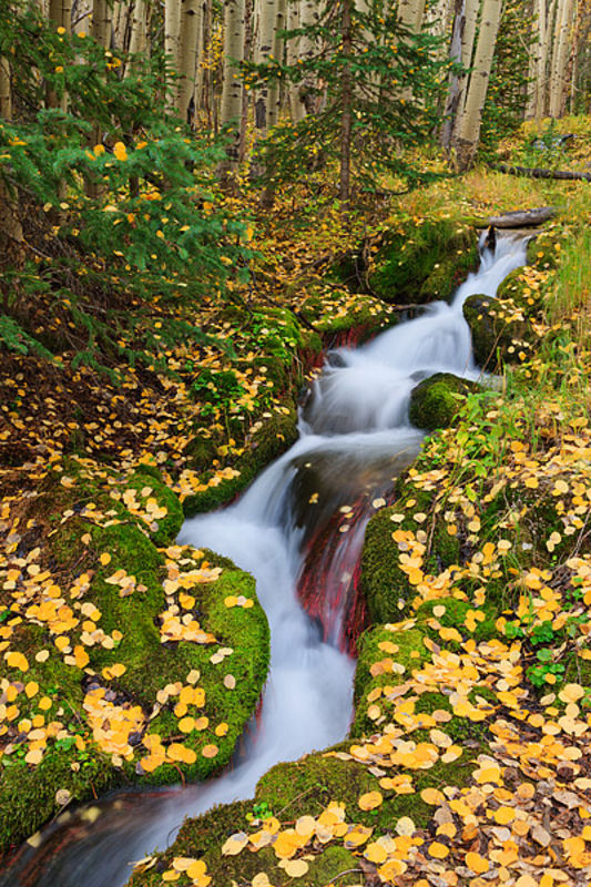 Mystical Boulder Brook 