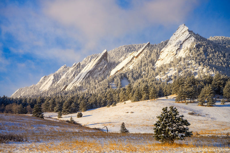 Wintering Chautauqua 