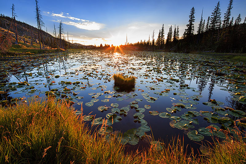 Sunburst Over Chickadee Pond 