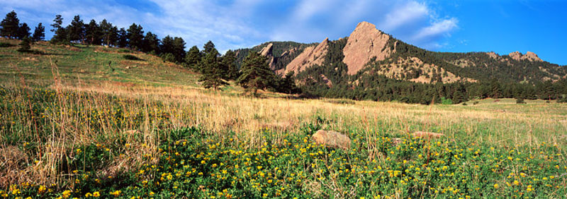 Chautauqua Meadows Morning