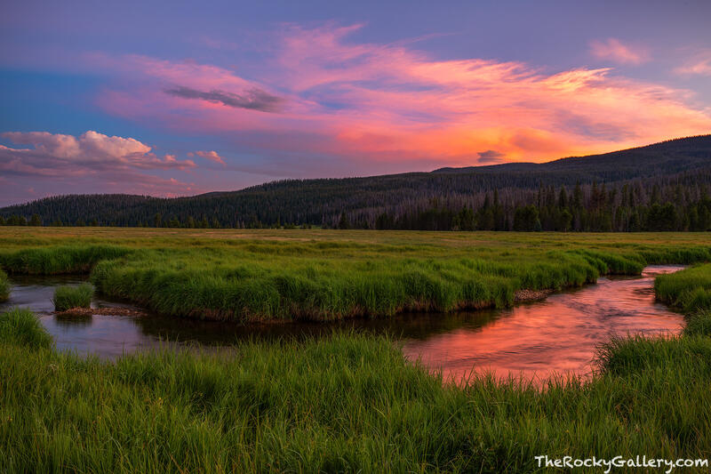 Understated Colorado 