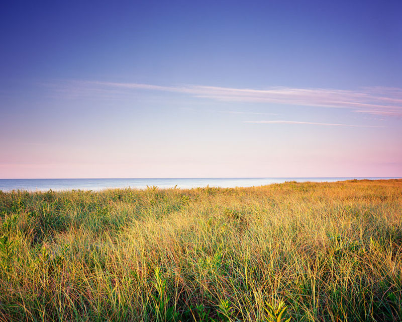 Coopers Beach and Dune Grass