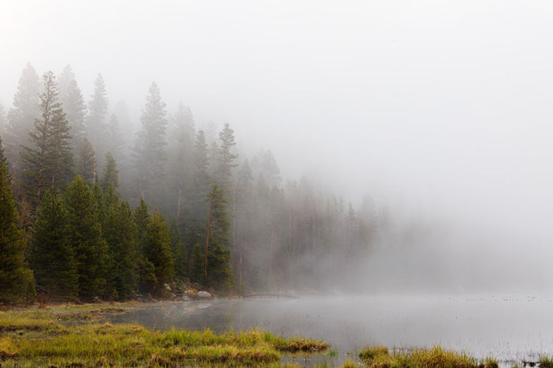 Fog and Friends