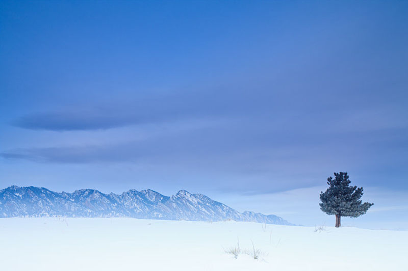 Wisps Of Winter 