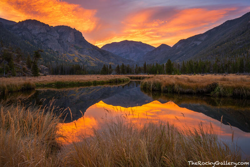 Autumn On The East Inlet