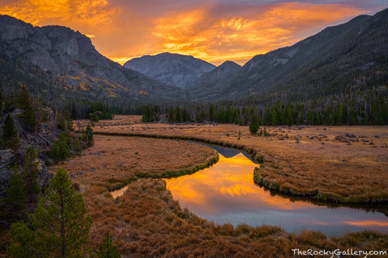 Golden East 