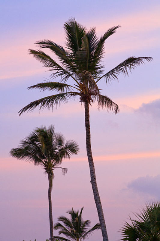 Elbow Beach Pastel Sunset