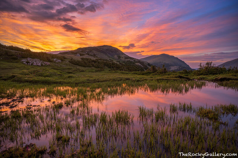Chapin Sunrise 