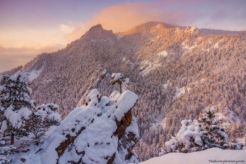 After The Snow 