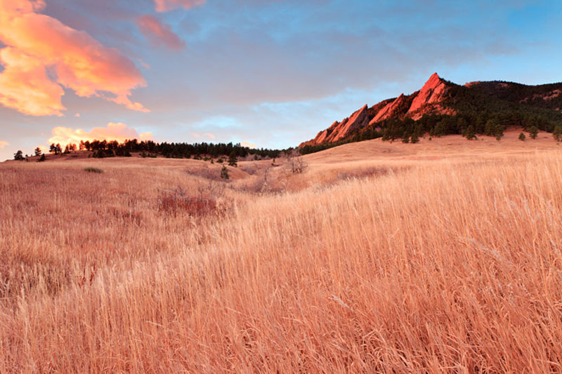 Fall Grasses At Chautauqua Park