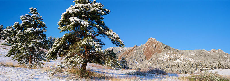 Boulder Flatirons in White