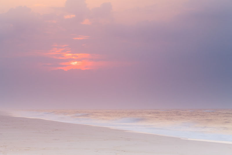 Endless Summer - Flying Point Beach