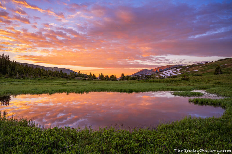 Fourth Of July Tarn