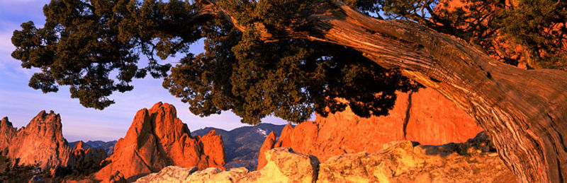 Garden of The Gods