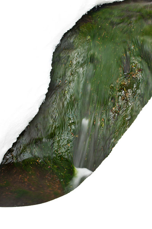Glacier Creek Abstract