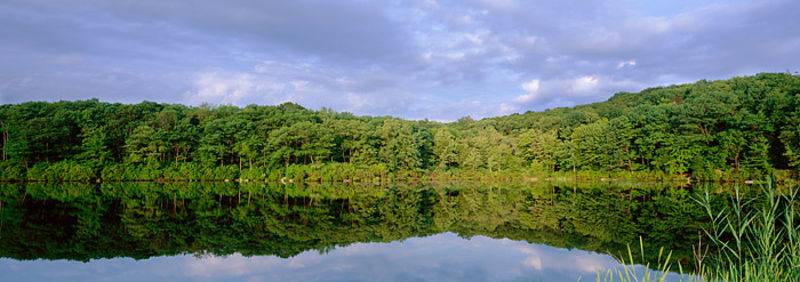 Harriman State Park