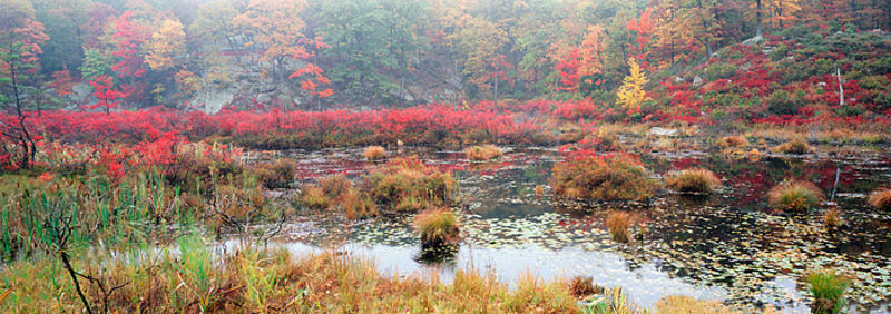 Colors of Fall - Harriman State Park