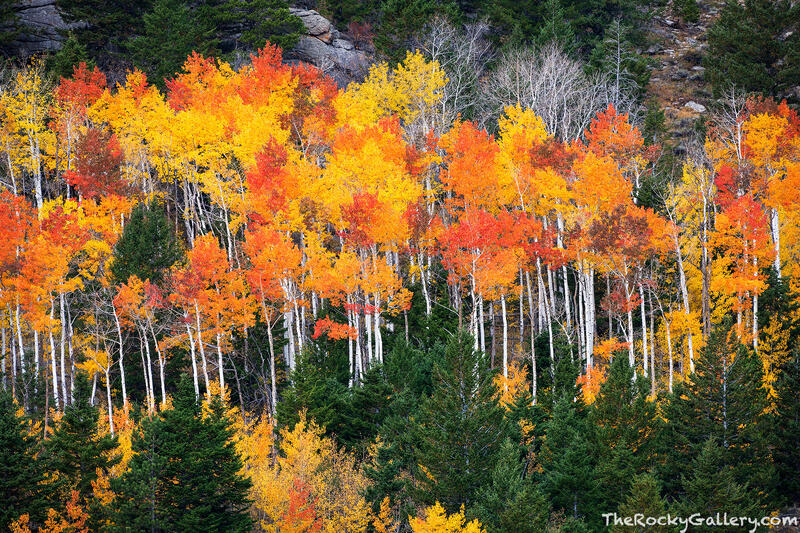 Autumn Candles