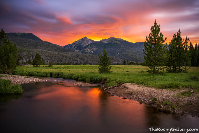 Colorado Rising 