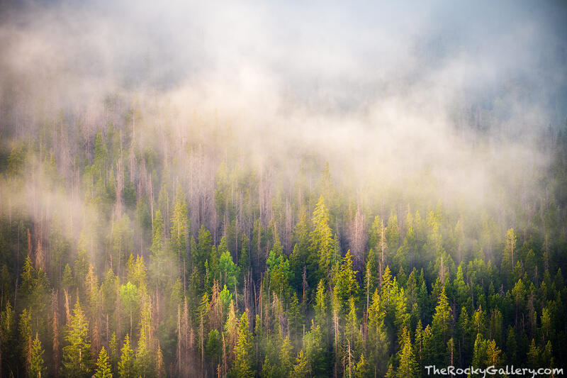 Kawuneeche Rising 