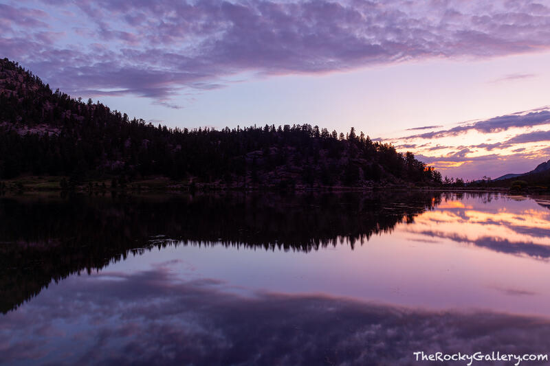 Lily Lake Silhouette