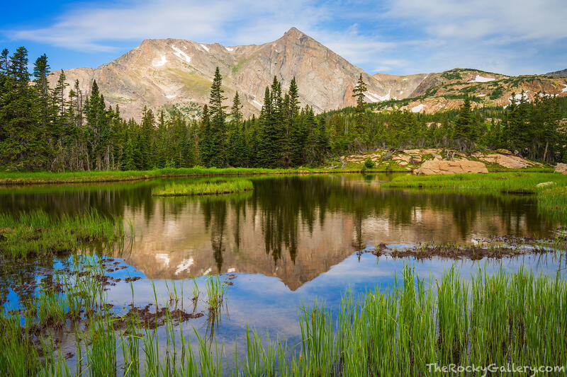 Mount Alice,Lion Lake #1,Wild Basin,East Side,Allenspark,Estes Park,Colorado,RMNP,Rocky Mountain National Park,July,Landscape,Summer,Green